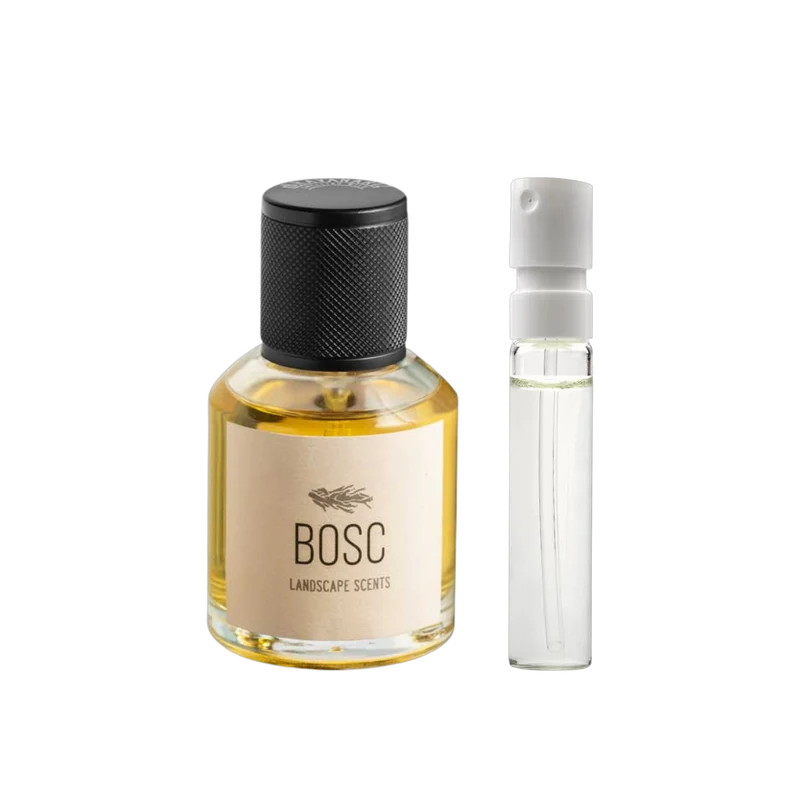 Bravanariz - Bosc