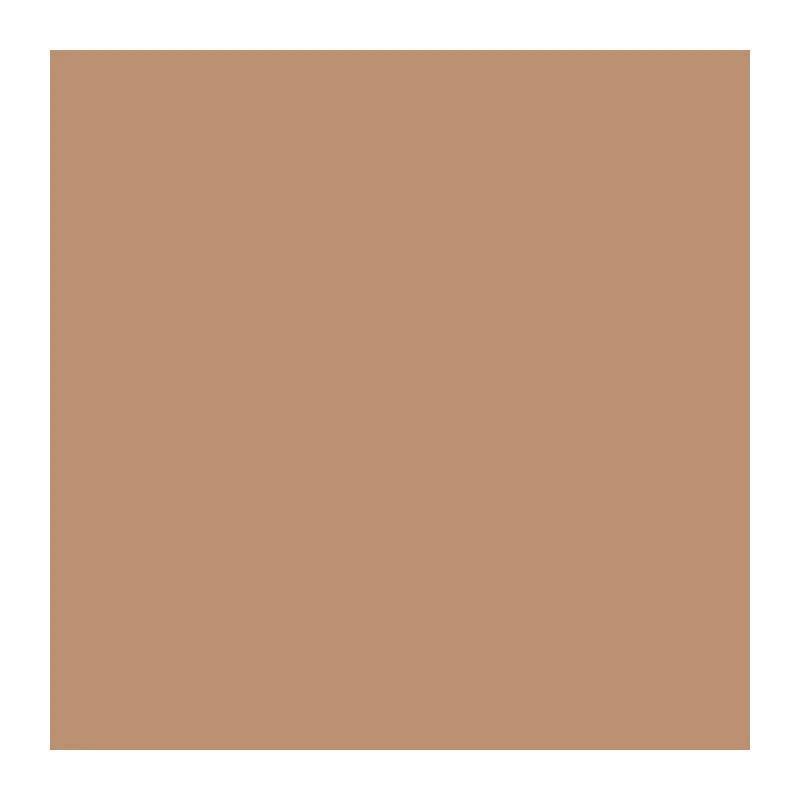 Touche Eclat Le Cushion